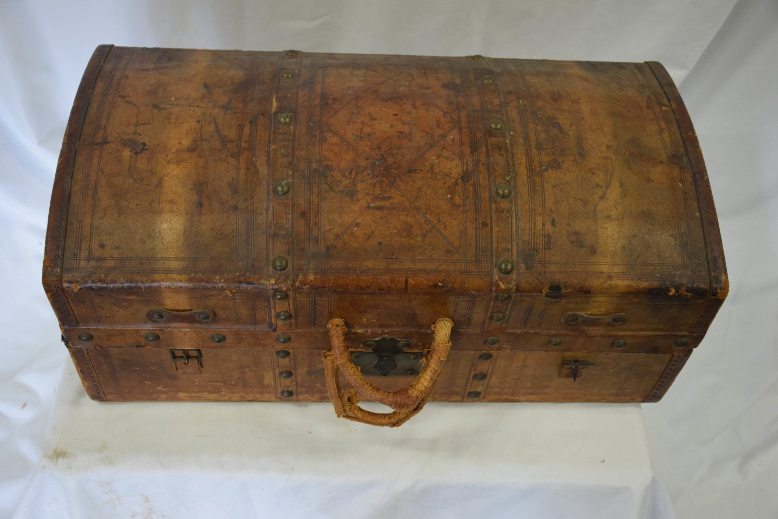 Trunk