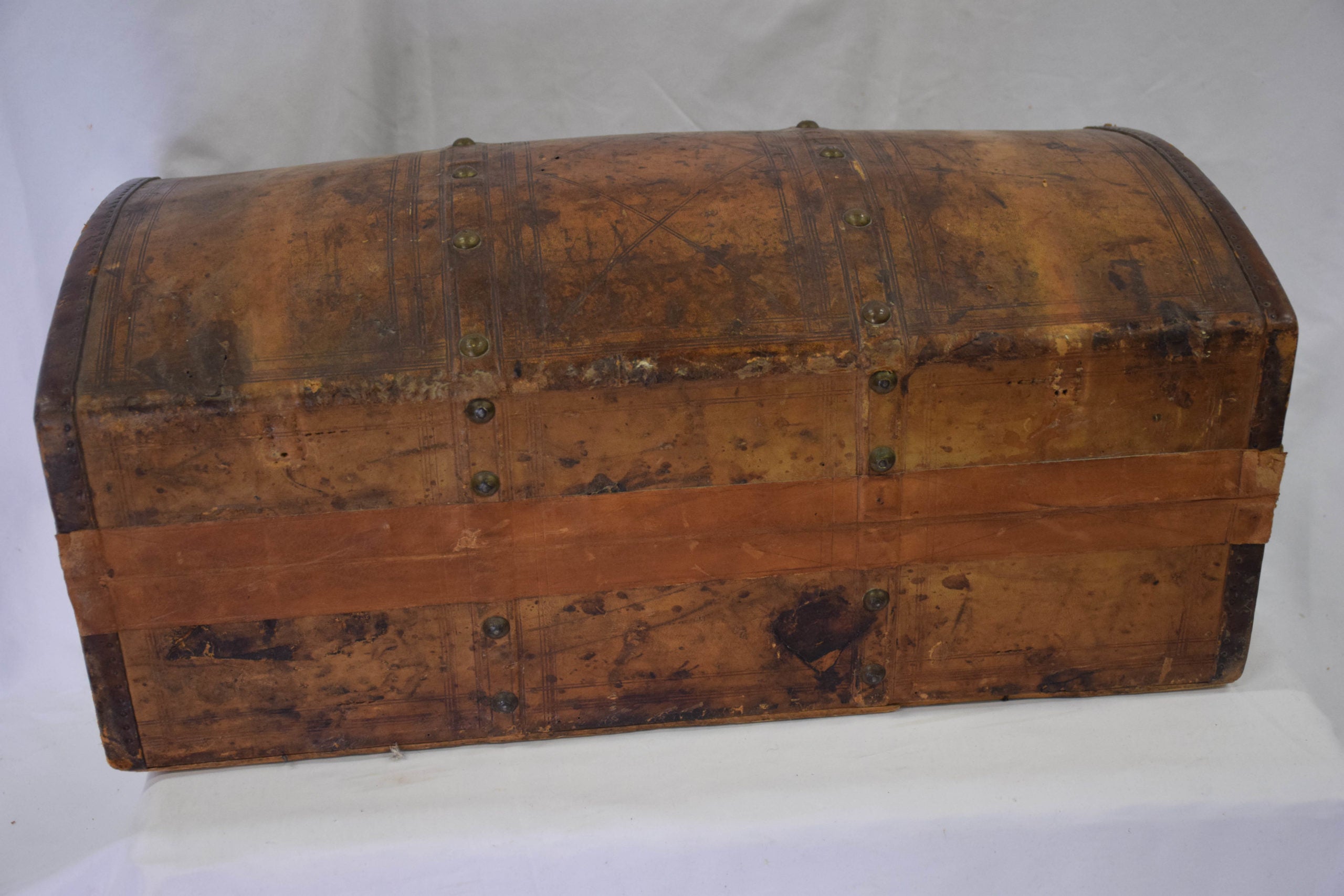 Trunk