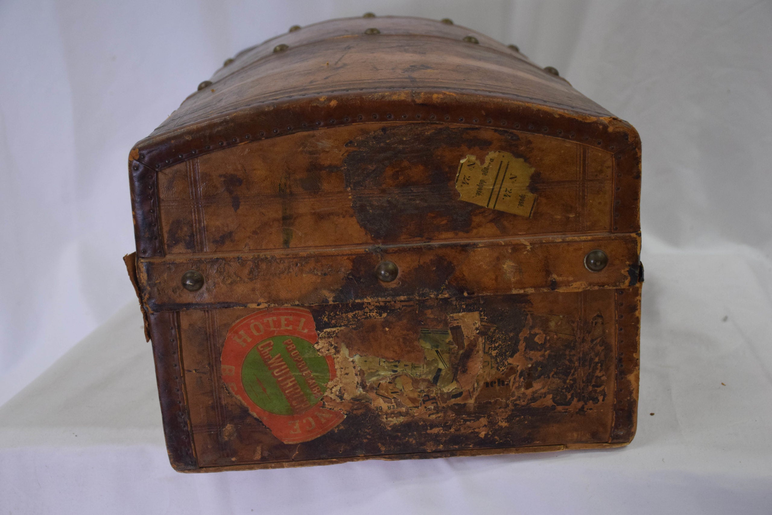Trunk
