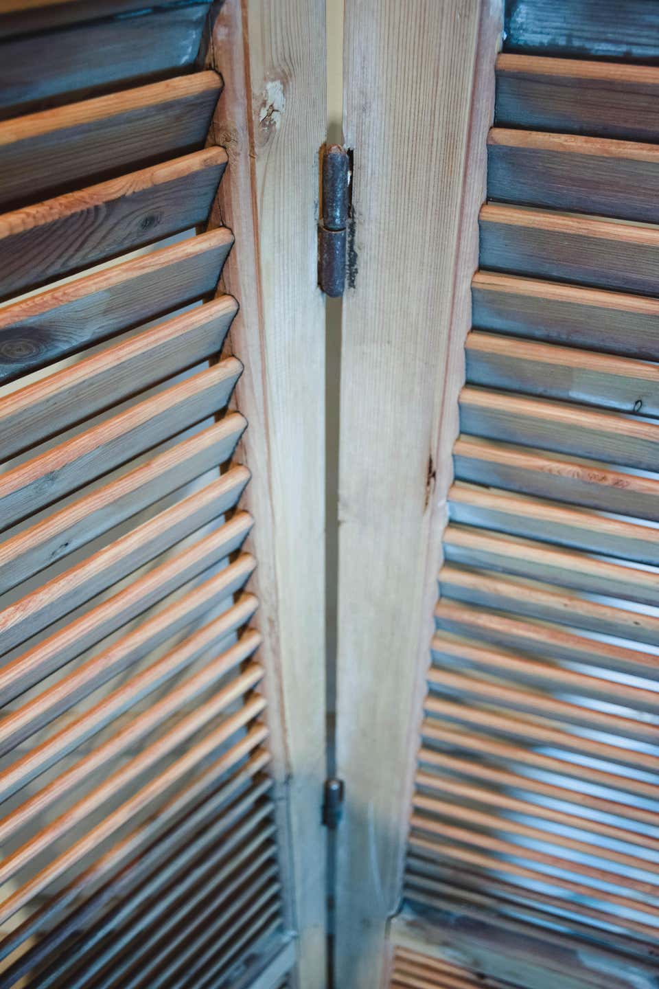 Pair of Hinged Vintage French Shutters