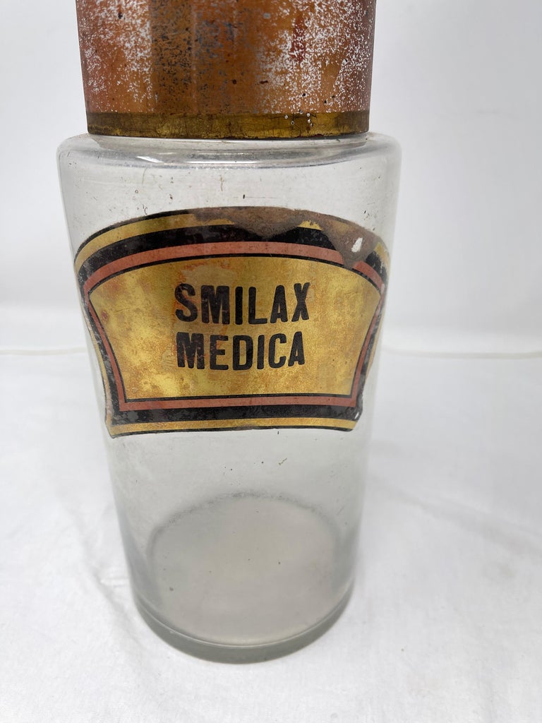 Antique Pharmacy Jar “Smilax Medica”