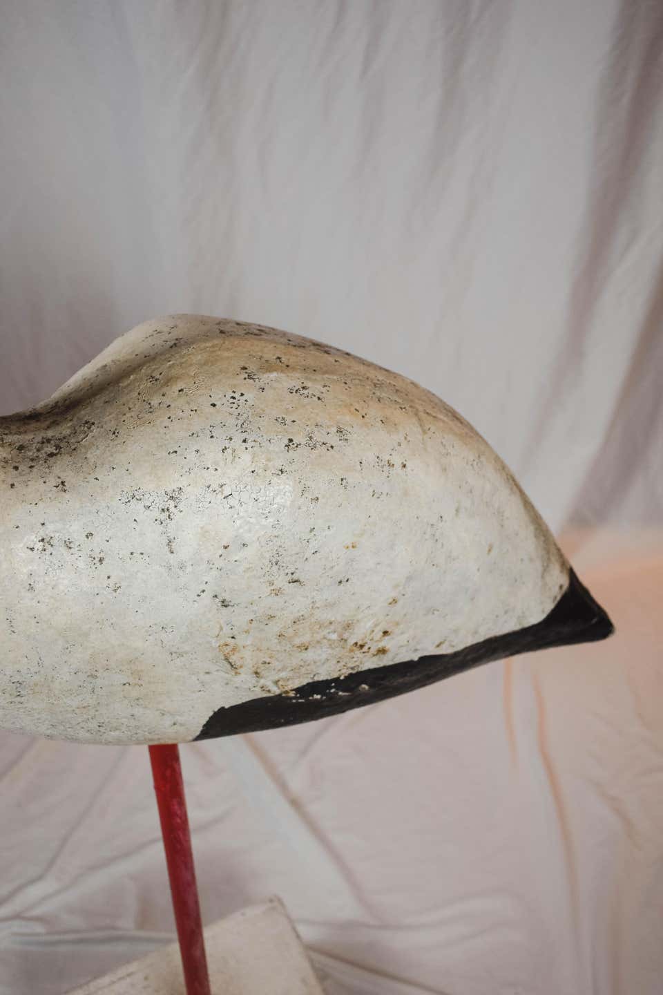 Vintage Concrete Shore Bird
